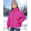 image:imageFlygo Girls Winter Puffer Jacket Warm Short Kids Zip up Long Sleeve Puffy Quilted Jackets Coat Outerwear 514 YearsRose
