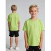 image:imageFlygo Boys 5 Pack Short Sleeve TShirts Cotton Soft Basic Tees Crewneck Casual Top for Kids ToddlersBlack white yellow fruitgreen skyblue