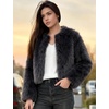 image:imageFlygo Womens Faux Fur Coat Winter Warm Cropped Fluffy Shaggy Jacket  Smooth Lining Open Front Long Sleeve Snap Button 2 Pockets 2026 Luxury Fuzzy Outerwear Cardigan Going Out Wedding PartyDarkgrey