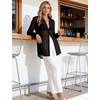 image:imageFlygo Sexy Sheer Tops for Women Loose Button Down Shirt See Through BlouseBlack