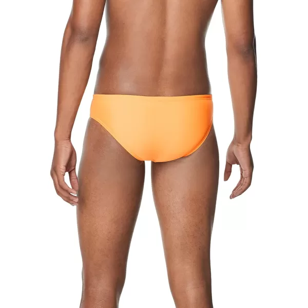 Speedo Mens Standard Swimsuit Brief Endurance The One Orange POP 34Speedo Mens Standard Swimsuit Brief Endurance The One Orange POP 34