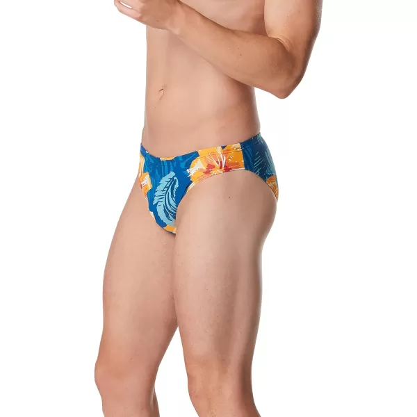 Speedo Mens Swimsuit Brief Creora Highclo PrintedVibe Delphinium Blue