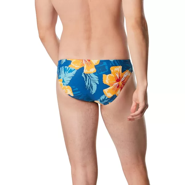 Speedo Mens Swimsuit Brief Creora Highclo PrintedVibe Delphinium Blue