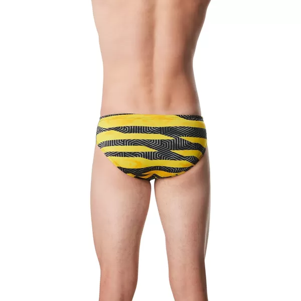 Speedo Mens Swimsuit Brief Endurance Printed Team ColorsContort Speedo Yellow