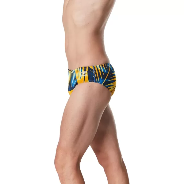 Speedo Mens Swimsuit Brief Endurance Printed Team ColorsReflected BlueGold