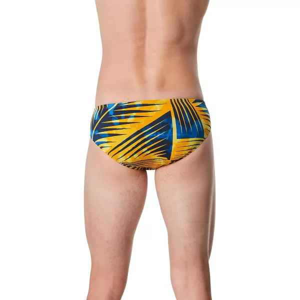 Speedo Mens Swimsuit Brief Endurance Printed Team ColorsReflected BlueGold