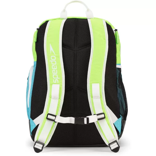 Speedo Unisex Large Teamster 20 Backpack 35Liter Rainbow PrideGreen GeckoBlue 20