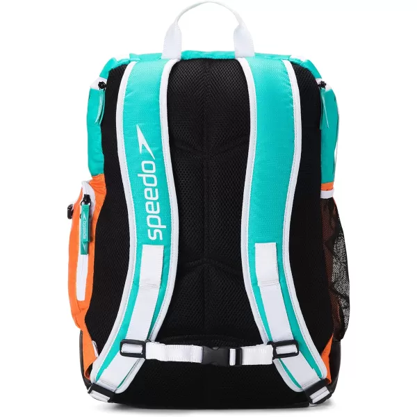 Speedo Unisex Large Teamster 20 Backpack 35Liter Rainbow PrideOrangeCeramic 20