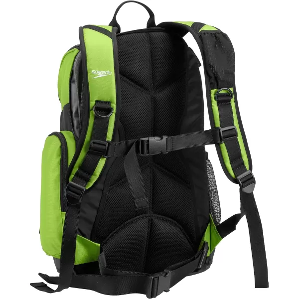 Speedo UnisexAdult Large Teamster Backpack 35Liter  Jasmine GreenBlack One SizeJasmine GreenBlack One Size