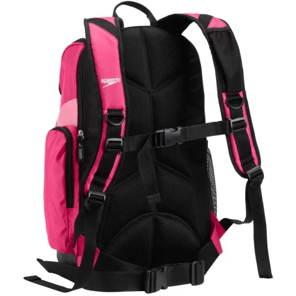 Speedo UnisexAdult Teamster Backpack  25 LiterFuchsia PurpleAzalea Pink