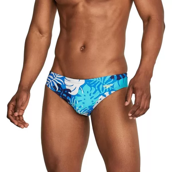 Speedo Mens Swimsuit Brief Creora Highclo PrintedPalm Blue RadianceAtoll