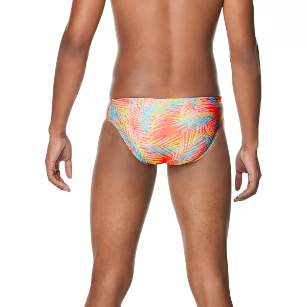 Speedo Mens Standard Swimsuit Brief Endurance The One Throwing Shade 34Speedo Mens Standard Swimsuit Brief Endurance The One Throwing Shade 34