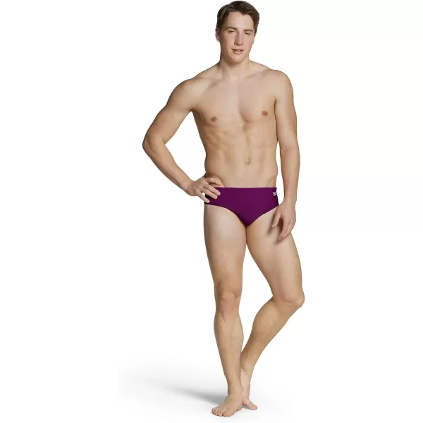 Speedo Mens Swimsuit Brief Endurance The OneCabernet