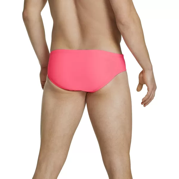 Speedo Mens Swimsuit Brief Endurance The OneChewing Gum