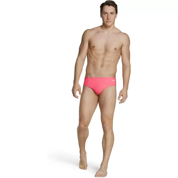 Speedo Mens Swimsuit Brief Endurance The OneChewing Gum