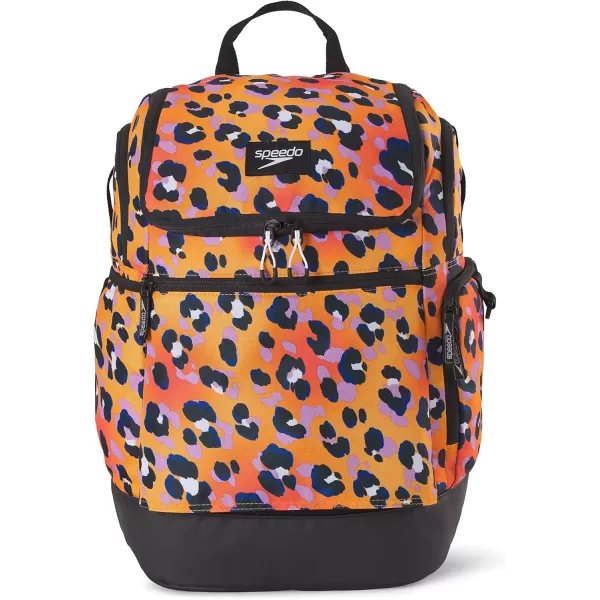 imageSpeedo Unisex Large Teamster 20 Backpack 35Liter  Speedo BlackCheetah Orange Pop 20