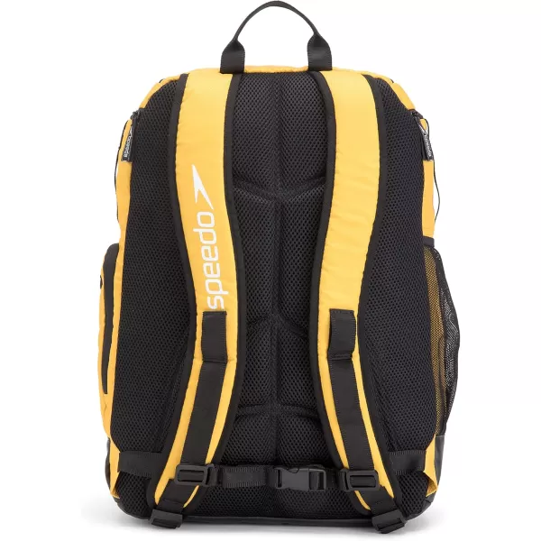 imageSpeedo Unisex Large Teamster 20 Backpack 35Liter  Speedo BlackGold 20