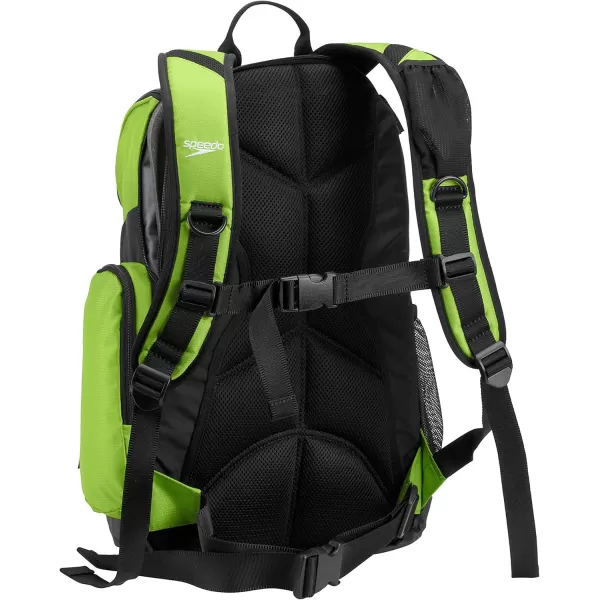 imageSpeedo Unisex Large Teamster 20 Backpack 35Liter  Speedo BlackJasmine GreenBlack