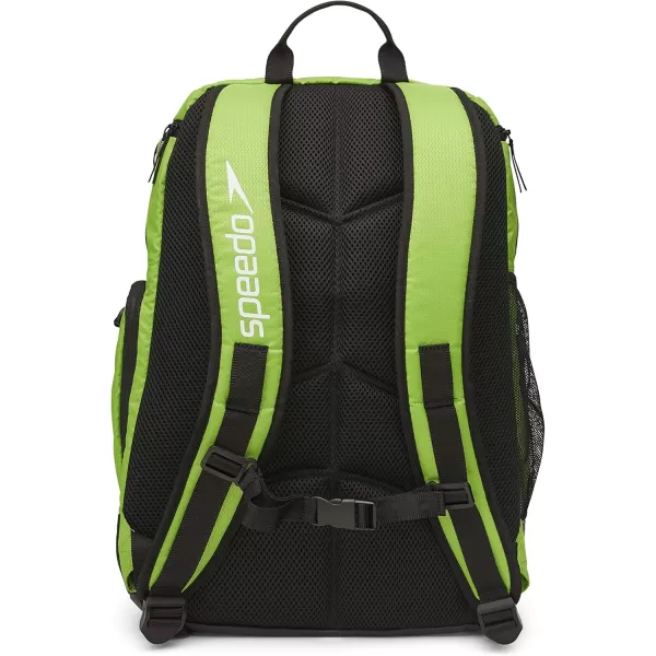 imageSpeedo Unisex Large Teamster 20 Backpack 35Liter  Speedo BlackLime 20