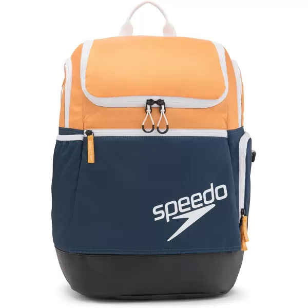 imageSpeedo Unisex Large Teamster 20 Backpack 35Liter  Speedo BlackNavyRad Yellow 20