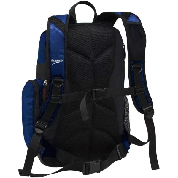 imageSpeedo Unisex Large Teamster 20 Backpack 35Liter  Speedo BlackRoyal Blue