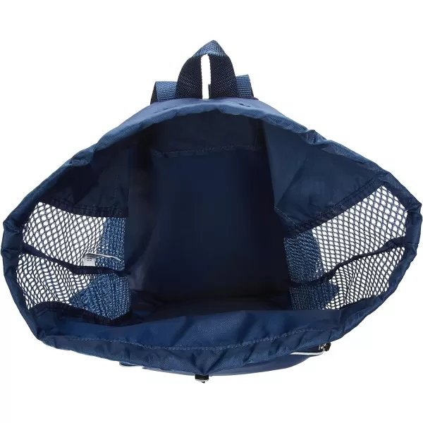 imageSpeedo UnisexAdult Drawstring Deluxe Ventilator Mesh Equipment BagInsignia Blue
