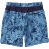 imageSpeedo Mens Swim Trunk Knee Length Tech VolleyChina Blue