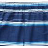 imageSpeedo Mens Swim Trunk Knee Length Tech VolleyPeacoat Stripe