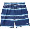 imageSpeedo Mens Swim Trunk Knee Length Tech VolleyPeacoat Stripe