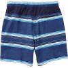 imageSpeedo Mens Swim Trunk Knee Length Tech VolleyPeacoat Stripe