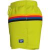 imageSpeedo Mens Swim Trunk Short Length Redondo StripedBitter Lime