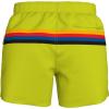 imageSpeedo Mens Swim Trunk Short Length Redondo StripedBitter Lime