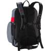imageSpeedo Teamster Backpack 35LiterHeatherRed