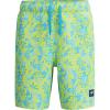 imageSpeedo Boys Swim Trunk Mid Length Redondo PrintedArctic Glass
