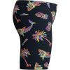 imageSpeedo Boys Swimsuit Jammer Begin to Swim SolidLuau Shark
