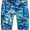 imageSpeedo Boys Swimsuit Jammer Begin to Swim SolidBreezy Palm