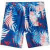 imageSpeedo Mens 75quot Volley Swim Trunks BlueWhiteRed