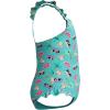 imageSpeedo BabyGirls Swimsuit Infant to Big Kid UPF 50 Learn to SwimFrill 1pc Arctic Glass