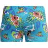 imageSpeedo Boys Swimsuit Infant to Big Kid UPF 50 Learn to SwimAquashort Picton BlueSurfs Up