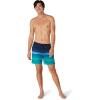 imageSpeedo Mens Swim Trunk Short Length Redondo StripedNavigate
