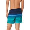 imageSpeedo Mens Swim Trunk Short Length Redondo StripedNavigate