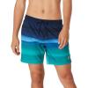 imageSpeedo Mens Swim Trunk Short Length Redondo StripedNavigate