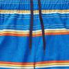 image:imageSpeedo Mens Swim Trunk Knee Length Tech VolleySpeedo Blue Stripe