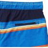 image:imageSpeedo Mens Swim Trunk Knee Length Tech VolleySpeedo Blue Stripe