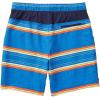image:imageSpeedo Mens Swim Trunk Knee Length Tech VolleySpeedo Blue Stripe