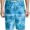 image:imageSpeedo Mens Palm Stripe EBoard Swim Trunk Shorts Ocean Breeze Small