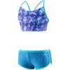 image:imageSpeedoBlue