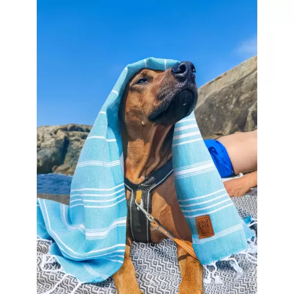 Gold CASE Turkish Beach Towel  Set of 6100 Cotton  70x38 inches XXL Oversized  PREWashed  Quick Dry Sand Free Turkish Towel  Lightweight Bath Towels OlymposMulticolor2Black Hand Towel Set
