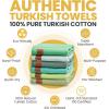 imageGold CASE Turkish Beach Towel  100 Cotton Large Turkish Bath Towels 70 x 38  LYCIA Oversized Quick Dry ampamp Sand Free Beach Towel with Bag  Lightweight Turkish Towels  BeigeTones of Green