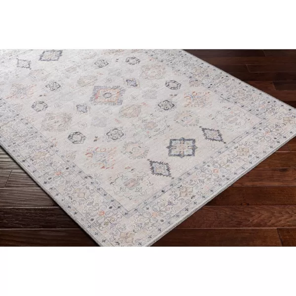 Livabliss Arias Vintage Washable Area Rug53quot x 7Beige27 x 73